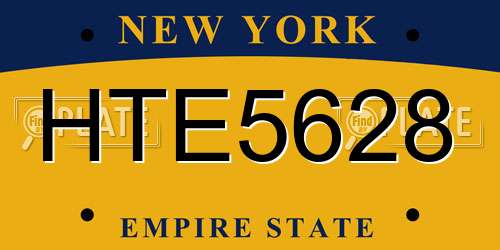 HTE5628 New York License Plate