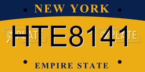 HTE8141 New York License Plate