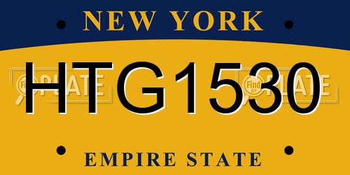 HTG1530 New York License Plate