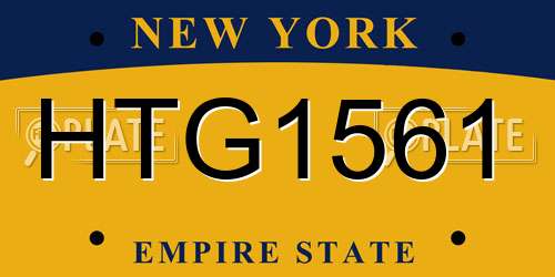 HTG1561 New York License Plate