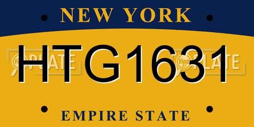 HTG1631 New York License Plate