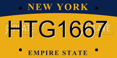 HTG1667 New York License Plate