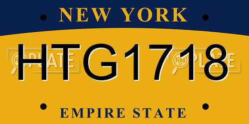 HTG1718 New York License Plate