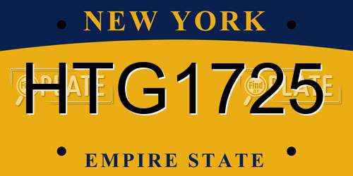 HTG1725 New York License Plate