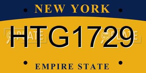 HTG1729 New York License Plate