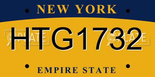 HTG1732 New York License Plate