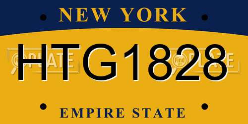 HTG1828 New York License Plate