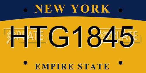 HTG1845 New York License Plate