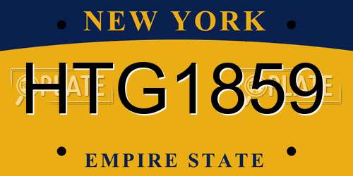 HTG1859 New York License Plate