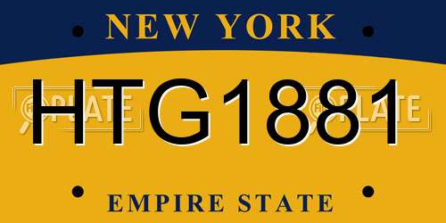HTG1881 New York License Plate