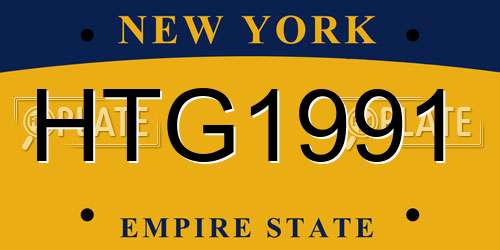 HTG1991 New York License Plate