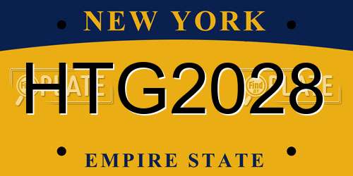HTG2028 New York License Plate
