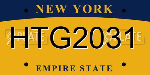 HTG2031 New York License Plate