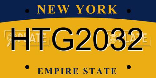 HTG2032 New York License Plate