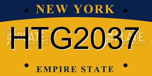 HTG2037 New York License Plate