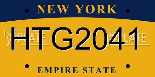 HTG2041 New York License Plate