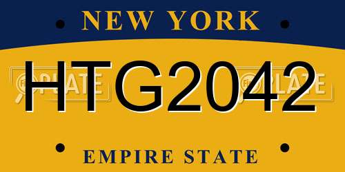 HTG2042 New York License Plate