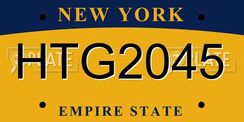 HTG2045 New York License Plate