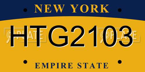 HTG2103 New York License Plate