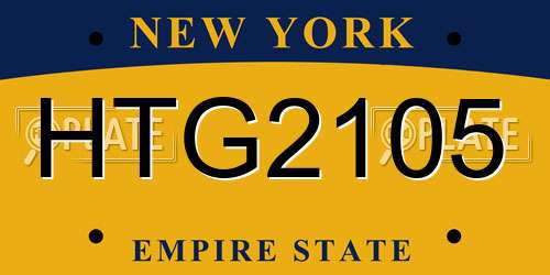 HTG2105 New York License Plate