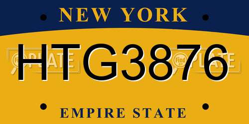 HTG3876 New York License Plate