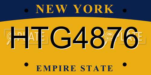 HTG4876 New York License Plate