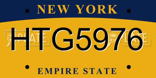 HTG5976 New York License Plate