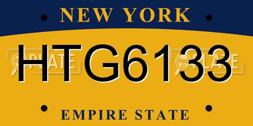 HTG6133 New York License Plate