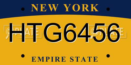 HTG6456 New York License Plate