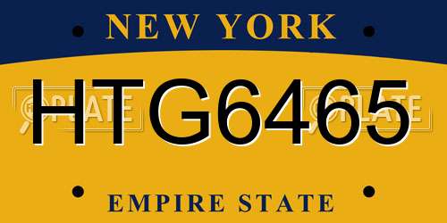 HTG6465 New York License Plate