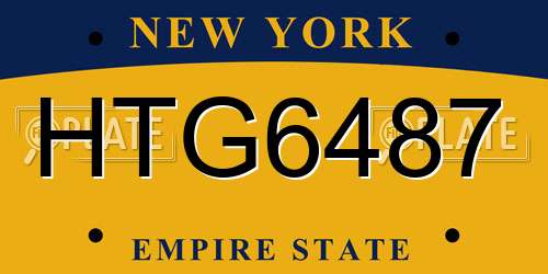 HTG6487 New York License Plate