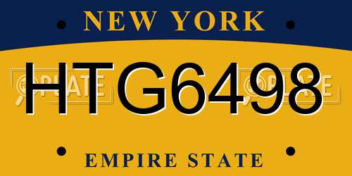 HTG6498 New York License Plate