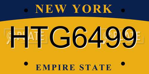 HTG6499 New York License Plate