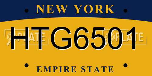 HTG6501 New York License Plate