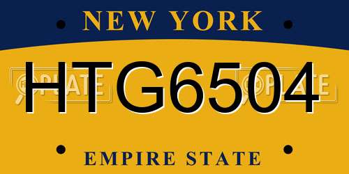 HTG6504 New York License Plate