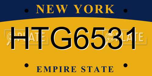 HTG6531 New York License Plate