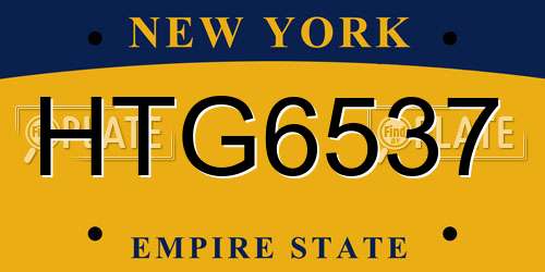 HTG6537 New York License Plate