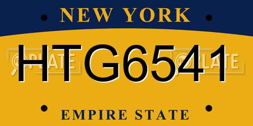 HTG6541 New York License Plate