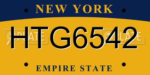 HTG6542 New York License Plate