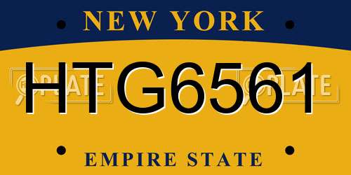 HTG6561 New York License Plate