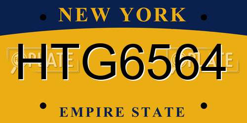HTG6564 New York License Plate