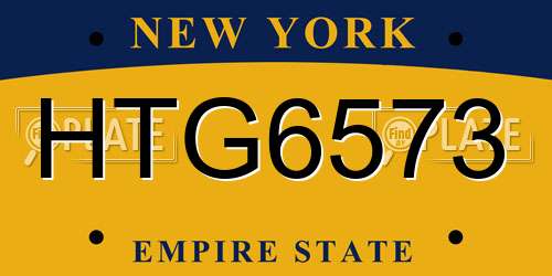 HTG6573 New York License Plate