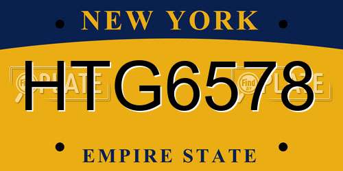 HTG6578 New York License Plate