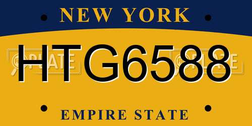 HTG6588 New York License Plate