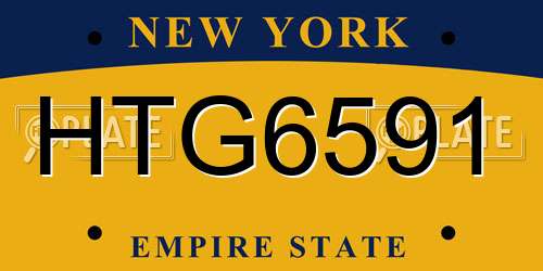 HTG6591 New York License Plate