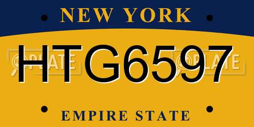 HTG6597 New York License Plate