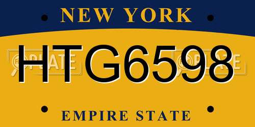 HTG6598 New York License Plate