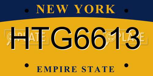 HTG6613 New York License Plate