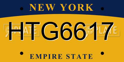 HTG6617 New York License Plate