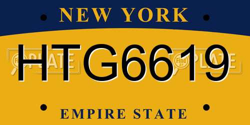 HTG6619 New York License Plate